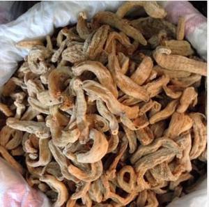 【無硫磺 天麻 【小】】價格_廠家_圖片 -