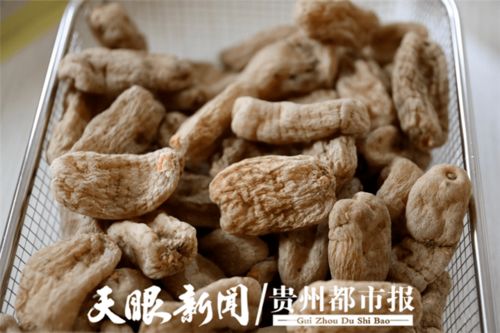 協與攜的變奏 黔貨出山進軍營 溢出輻射效應初顯