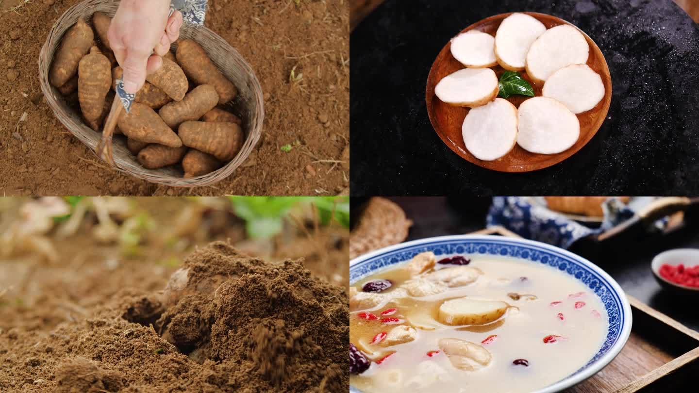 新鮮現(xiàn)挖天麻