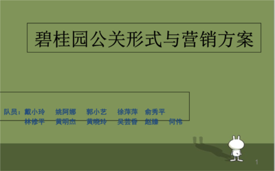 碧桂園營銷詳盡方案與公關(guān)活動策劃
